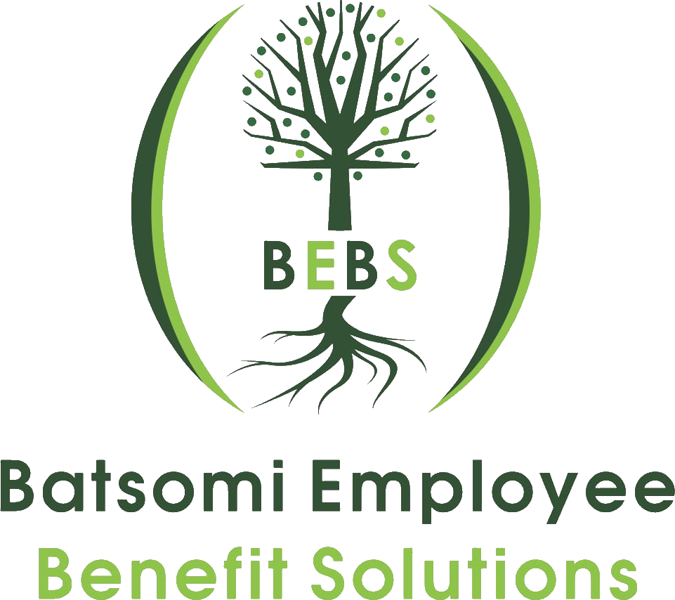 Batsomi Tracing Solutions Logo